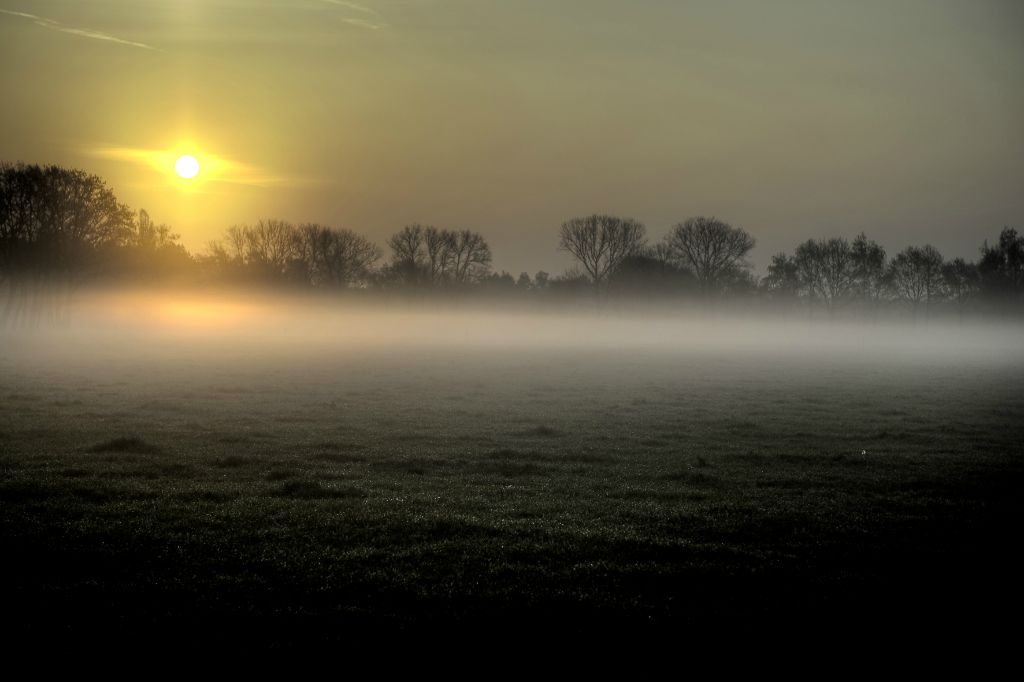 Stelen early in the morning