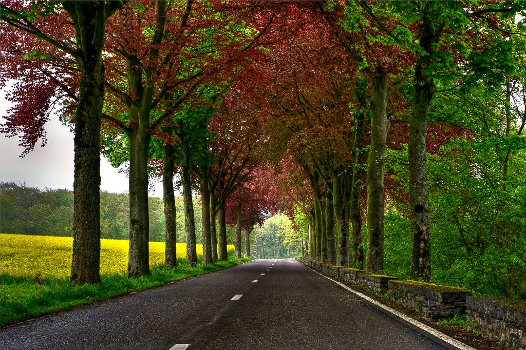 Somewhere on the road in the Ardennes