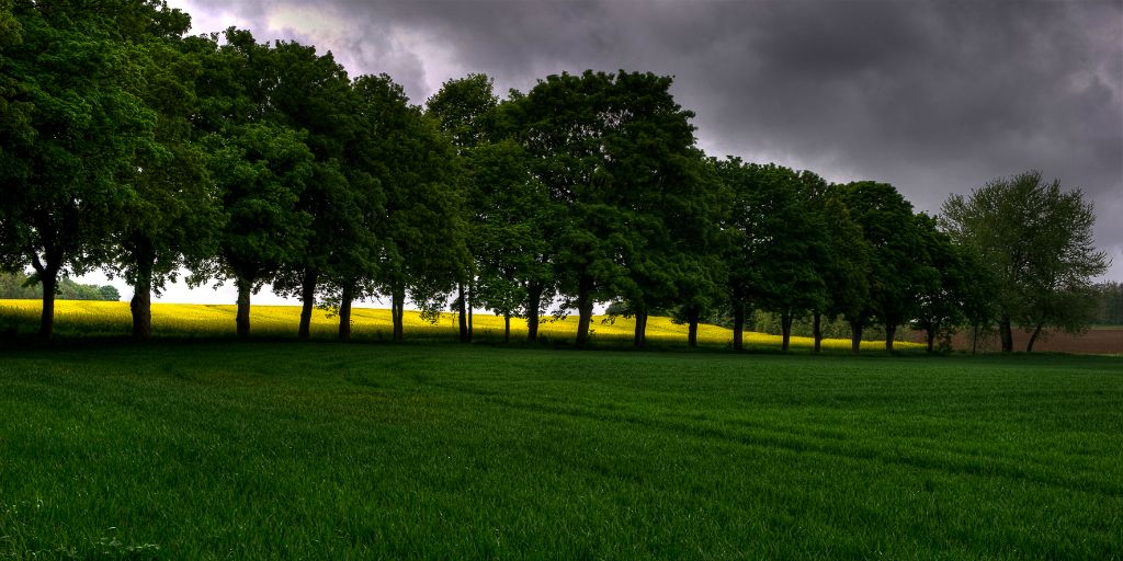 Somewhere on the road in the Ardennes