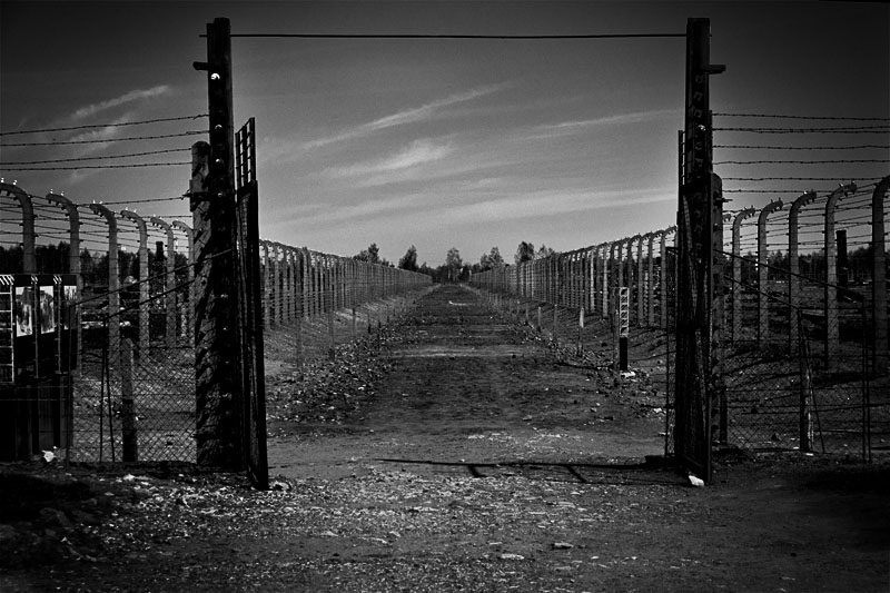 Birkenau