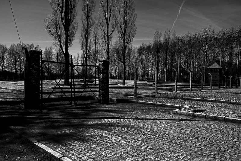 Birkenau