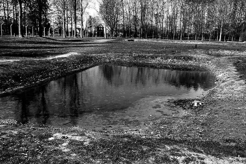 Birkenau