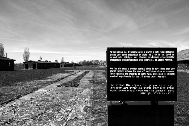 Birkenau