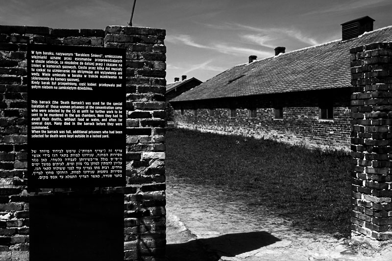 Birkenau