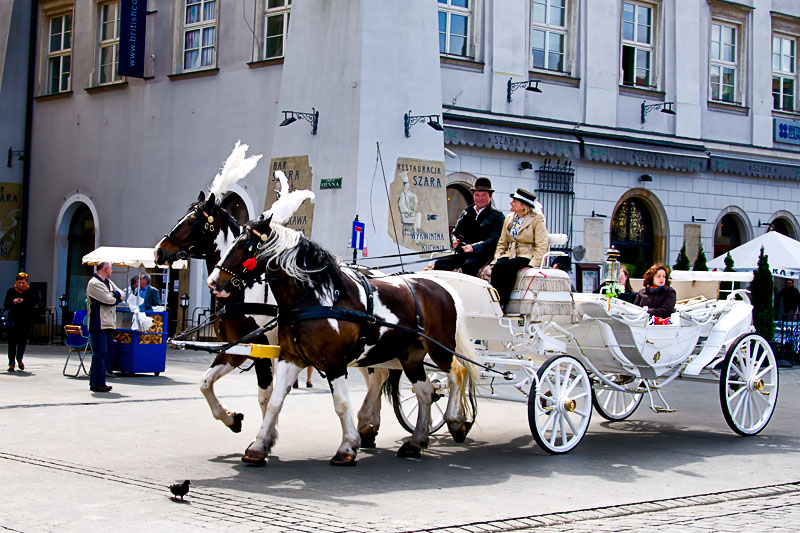 Rynek Główny (Market square)